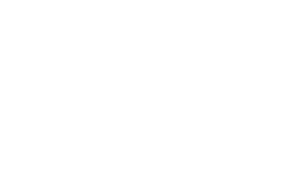Proventum logo